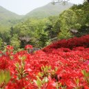 탑골산장 이미지