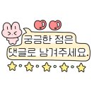 낮은제주 이미지