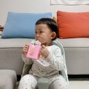 이안에프에스 건국유업점 | 건국우유 무항생제인증우유 온가족이 즐기는 착한목장 멸균우유