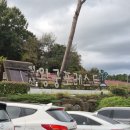 왕궁포레스트 | 익산 &#39;왕궁포레스트&#39; 식물원 족욕 후기