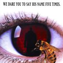 pet 25나3378 이미지