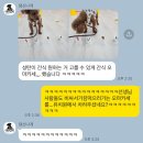 댕신나게 이미지