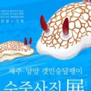 모스트제주