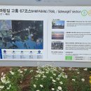 제352차 고흥 마중길(남파랑길67코스)트레킹(25년6월15일) 이미지