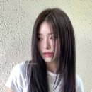 커트하우스