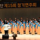 제15회 정기연주회 이미지