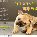 434006 이미지