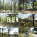 답답한 도시생활의 탈출, 서울숲 이미지