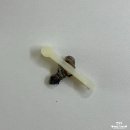 엔젤스토리 | 신생아 아기 손발 조형물 탯줄도장 엔젤스토리 내돈내산 가격 후기
