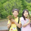 보현마을 Daum카페