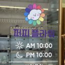 플라워퍼피 | 퍼피플라워 말티즈분양 입양후기 분양가격 내돈내산