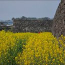 하도별방진 이미지