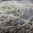 축복한우 이미지