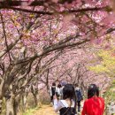 꽃동산 - 강동구 천호대로 1255-1 | 꽃동산
