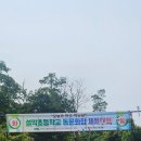 설악초등학교 | &#34;크레인까지 떴다! 1940년 개교 설악초, 4대가 함께한 역대급 #동문체육대회 후기&#34;