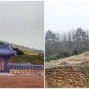 고군면 오일시장 이미지