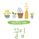 새차느낌 이미지