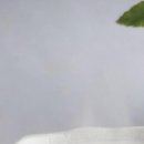 추부한의원 이미지