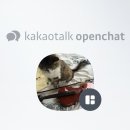 코코넨네 이미지