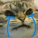 대야마트