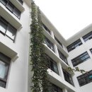 연서초등학교 이미지