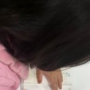 늘푸른소나무작은도서관 이미지