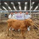 진흥축산 이미지