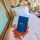 헤난스테이 | 보홀리조트 헤난 타왈라 리조트 예약 : 필리핀 보홀숙소 추천