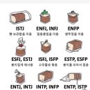 MBTI별 빵 보관법?ㅋ 이미지