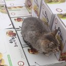 대경농장2 이미지