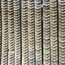 송도해상케이블카 | 부산 가볼만한 곳 쿠팡트래블 쿠폰으로 단돈 2천원! 송도해상케이블카 탑승 후기