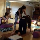 테라피요가 B 이미지