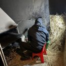 기장촌집 짚불곰장어 이미지