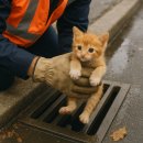 동물보육원 용인지부 이미지