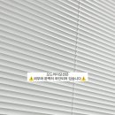 오드리이모션