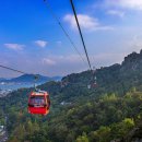 옥암로 95 이미지