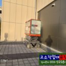 장안웃길 이미지