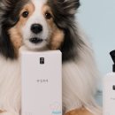 강아지공작소 이미지