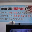 부흥정육점 이미지