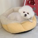 조아펫살롱 이미지