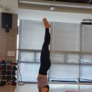 줌바피트니스(주간) 이미지