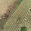 세자매목장 이미지