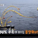 돈스 이미지