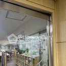 솔비호프 | 올해도 별자리 운세가 꼴등이네 내년에 일어나야지