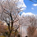 경서동 쑥공원 이미지