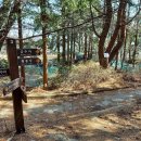 부산 구봉산(龜峯山,431m) 등산 & 임진왜란 때 포로로 끌려간 조선 백성들의 송환을 위해 일본으로 떠난...