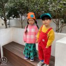 동탄나무로 이미지