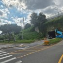 왕송못동로 이미지