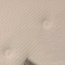 데시앙 세탁 이미지