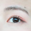 법인홍채 | 렌시스 마리나 애쉬핑크 L 13.5mm 원데이 착용 후기